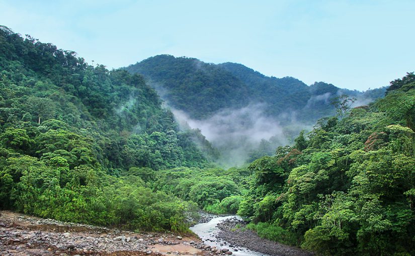 Advancing the Legal Rights of Nature in a Time of Environmental Crisis
