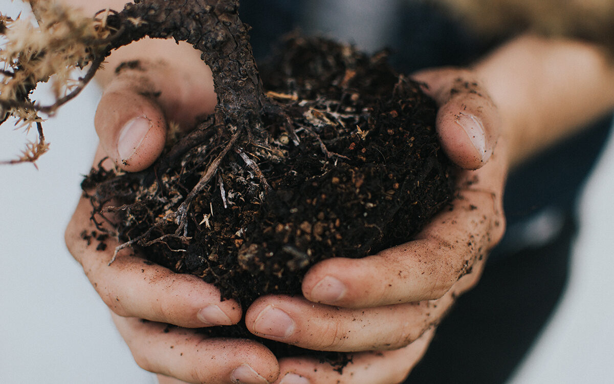 Soil Carbon: A Climate Change Solution