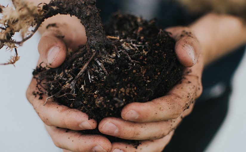 Soil Carbon: A Climate Change Solution