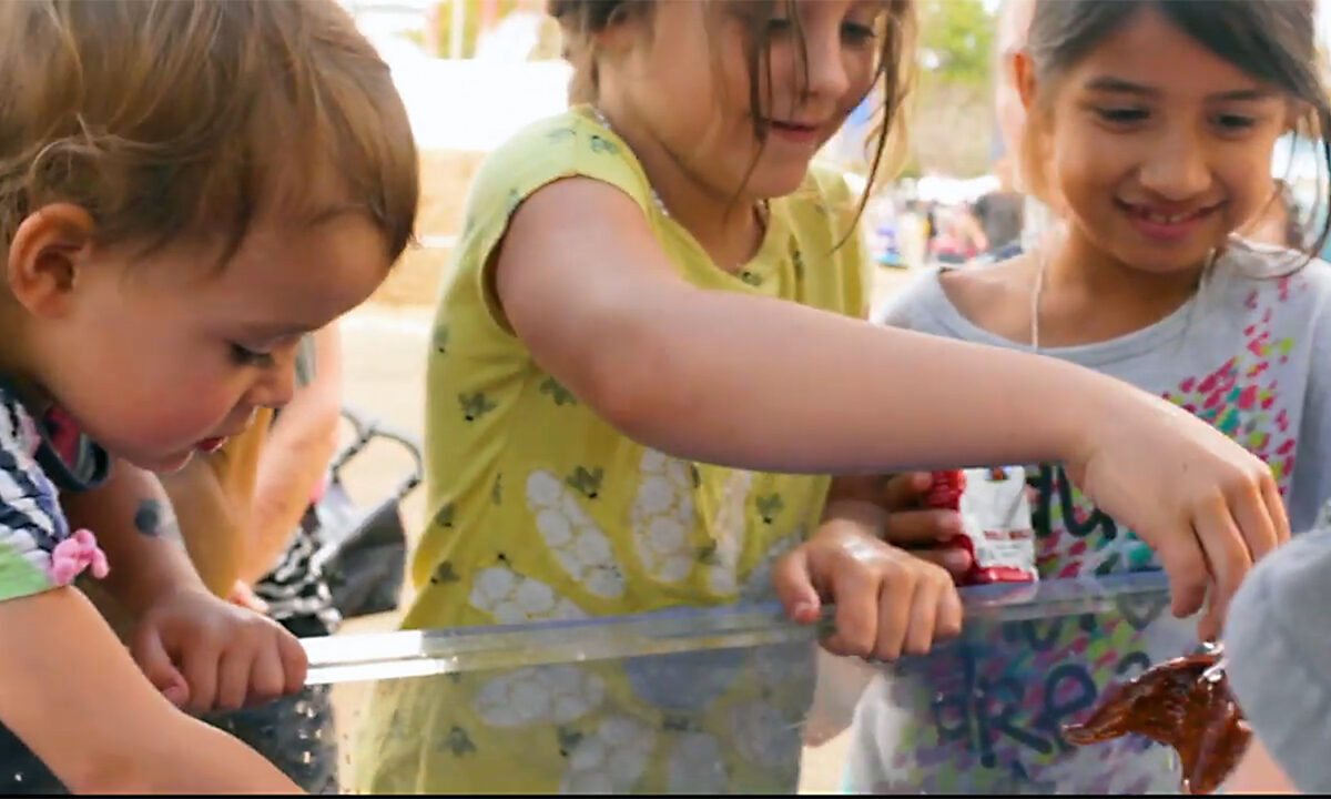The Biomimicry Educator Ripple Effect