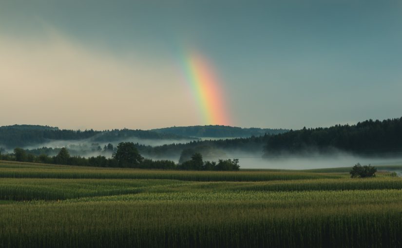 Transitioning to a Crisis-Resilient Agriculture
