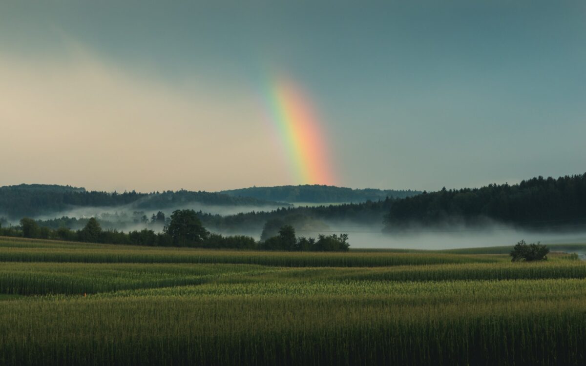 Transitioning to a Crisis-Resilient Agriculture