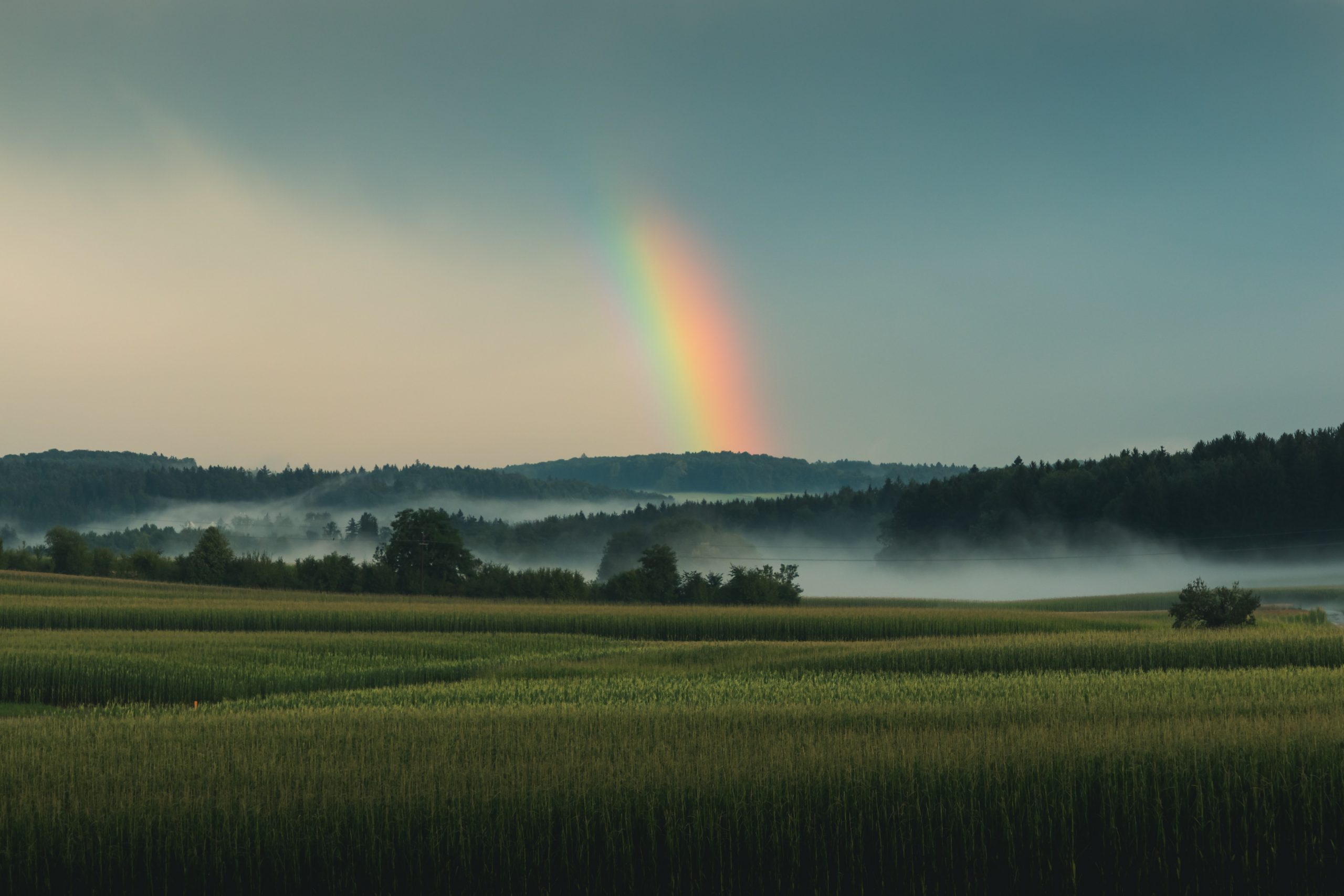Transitioning to a Crisis-Resilient Agriculture