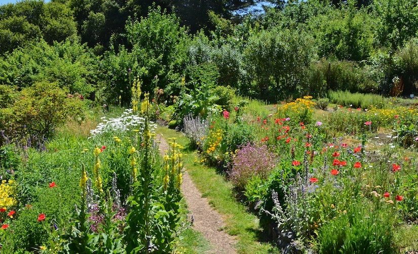 The Benefits of Biodiversity on the Farm and Ranch