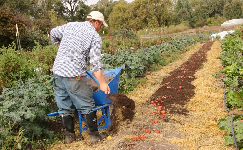 Compost: The Most  Important Organic Soil Amendment