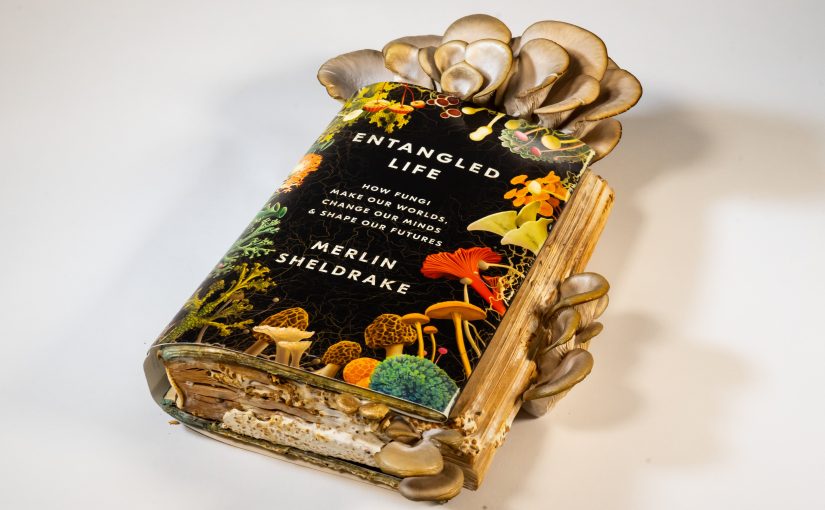 <em>Entangled Life</em>: Fungi, the Great Biosphere Builders