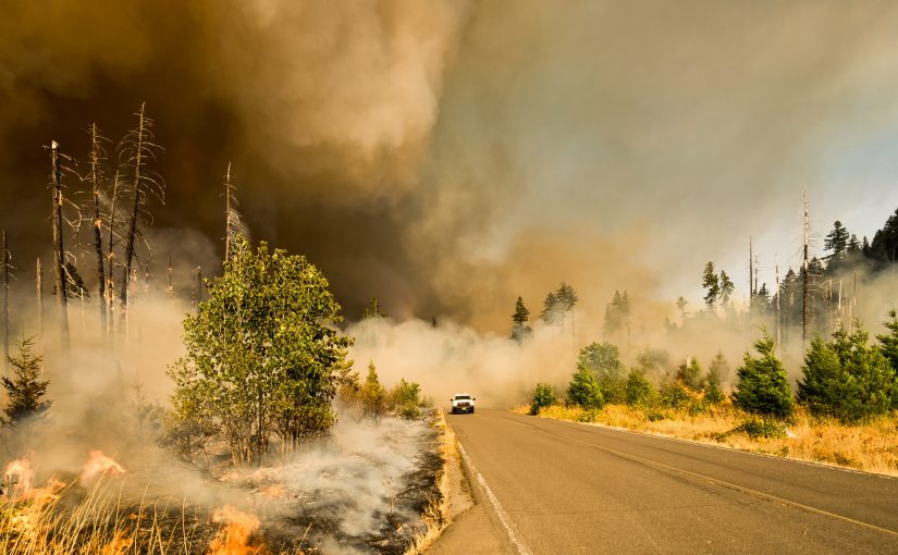 Initiation by Fire: Life During and After a Major California Wildfire