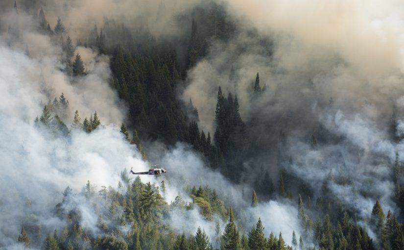 Fire and Water: Land and Watershed Management in the Age of Climate Change