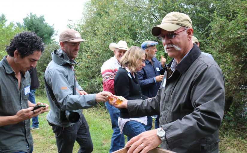 Organic Regenerative Agriculture: An Interview with Jeff Moyer of The Rodale Institute