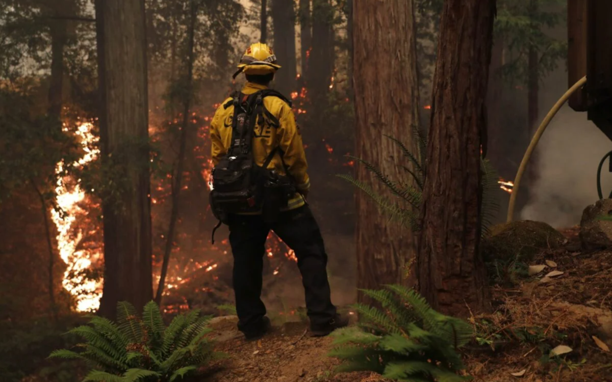 They Know How to Prevent Megafires. Why Won’t Anybody Listen?