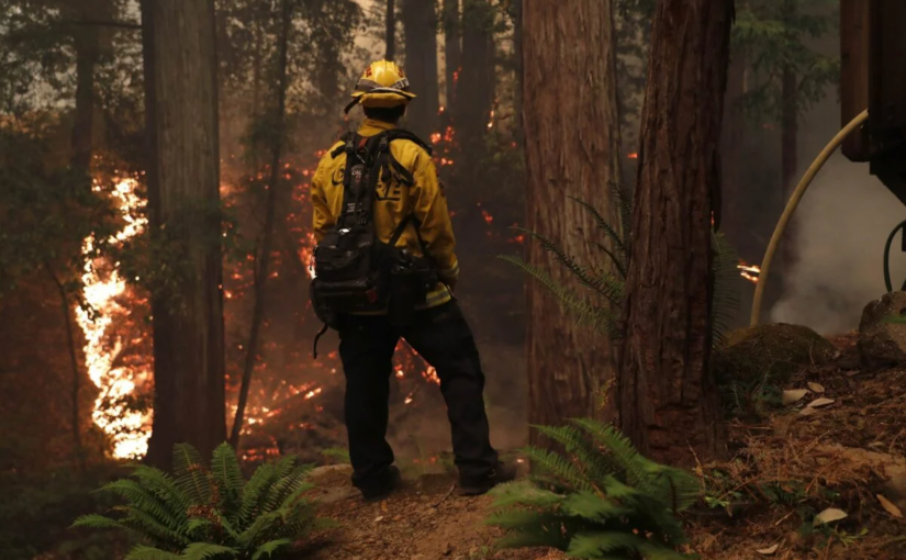 They Know How to Prevent Megafires. Why Won’t Anybody Listen?