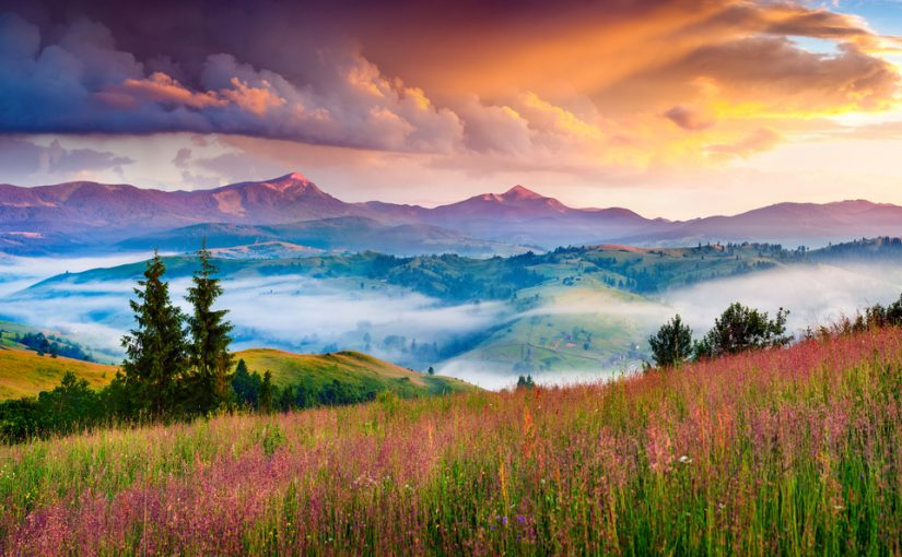 Expanding My Heart’s Envelope & Co-creating a Truly Nourishing Online Offering