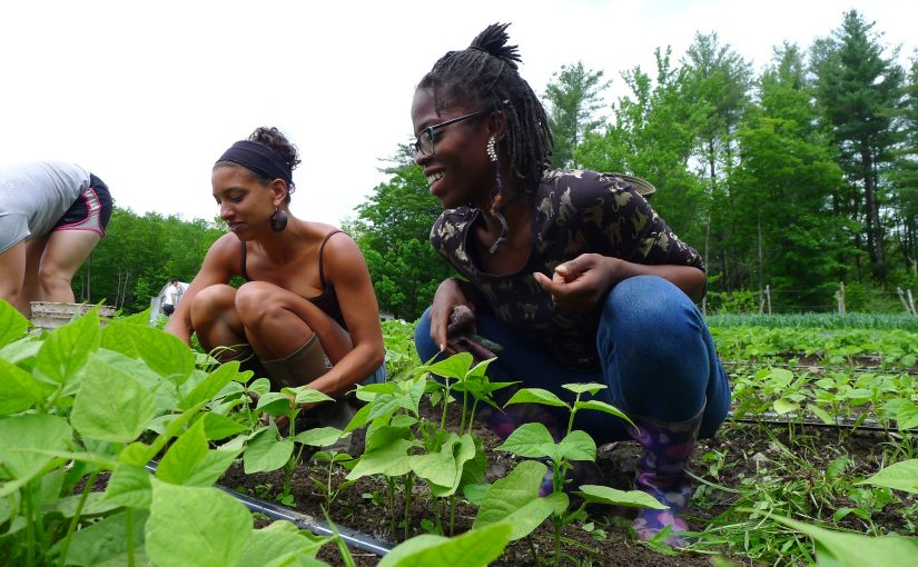 Farming While Black with Leah Penniman