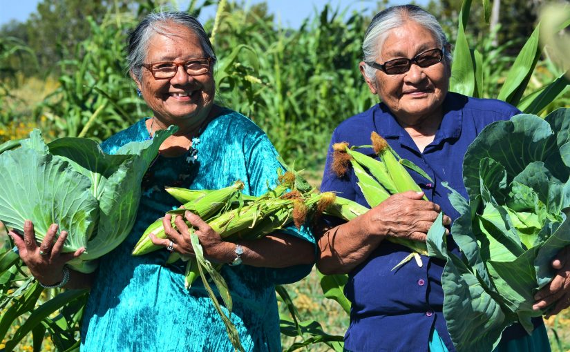 Decolonizing Regenerative Agriculture: An Indigenous Perspective