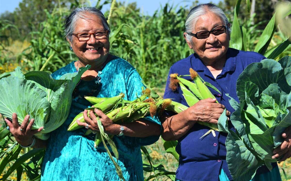Decolonizing Regenerative Agriculture: An Indigenous Perspective