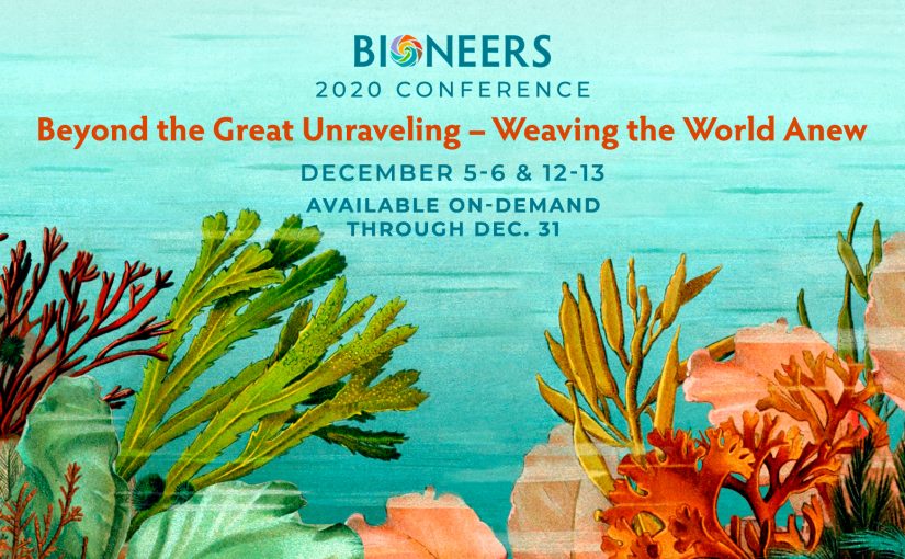 Coming to Bioneers Weekend 1: Artivism, Indigenous Wisdom, & More!