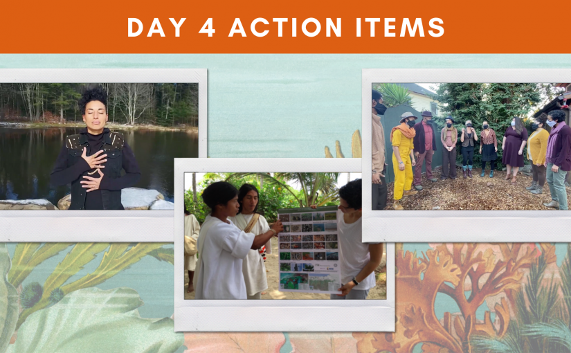 Bioneers 2020 Day 4: Healing Ecosystems & Uprooting Racism