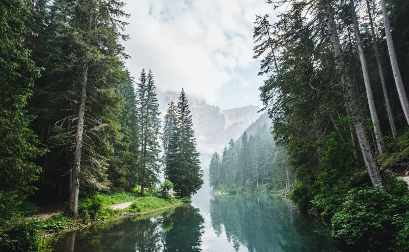 New Pathways for Old Wisdom: Mari Margil on the Rights of Nature