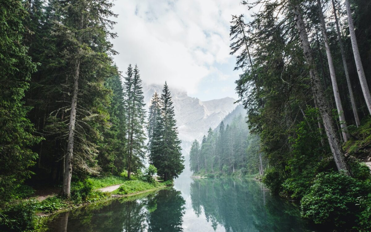 New Pathways for Old Wisdom: Mari Margil on the Rights of Nature