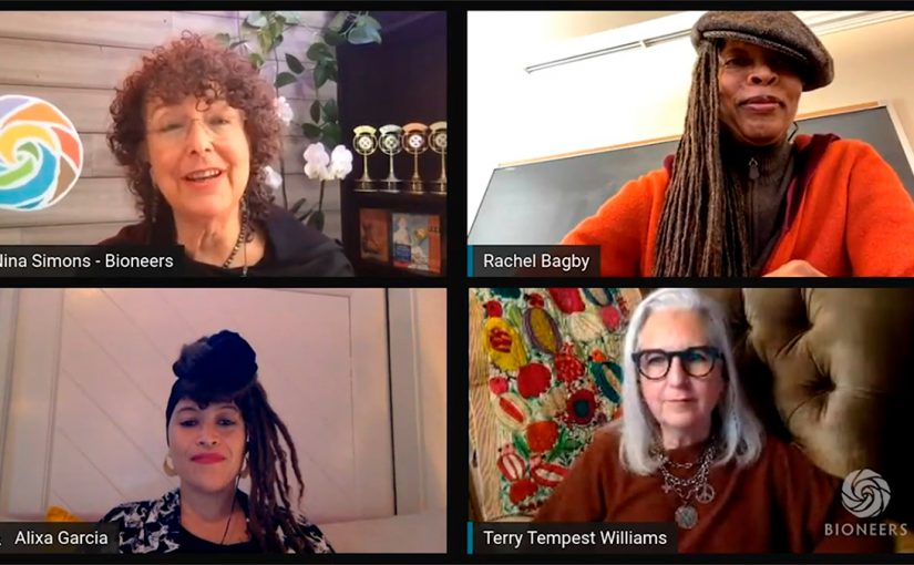 Panel Discussion – Nature, Justice & the Sacred: Reimagining Wholeness in a Time of Dissolution