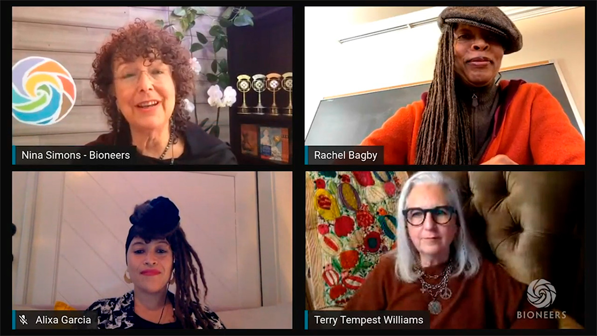 Panel Discussion – Nature, Justice & the Sacred: Reimagining Wholeness in a Time of Dissolution