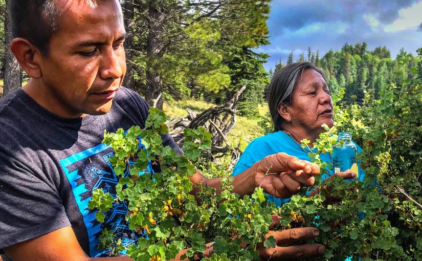 Native American Food Sovereignty: An Interview with Filmmaker Sanjay Rawal