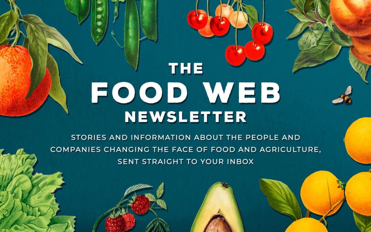 Announcing Our New Food Web Newsletter