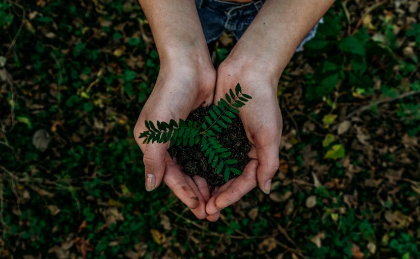 Roots to Power: Regenerative Economies and Grassroots Organizing