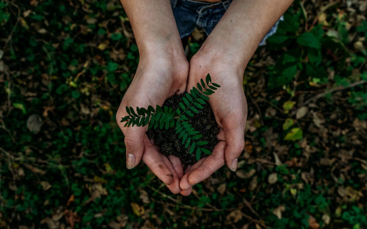 Roots to Power: Regenerative Economies and Grassroots Organizing