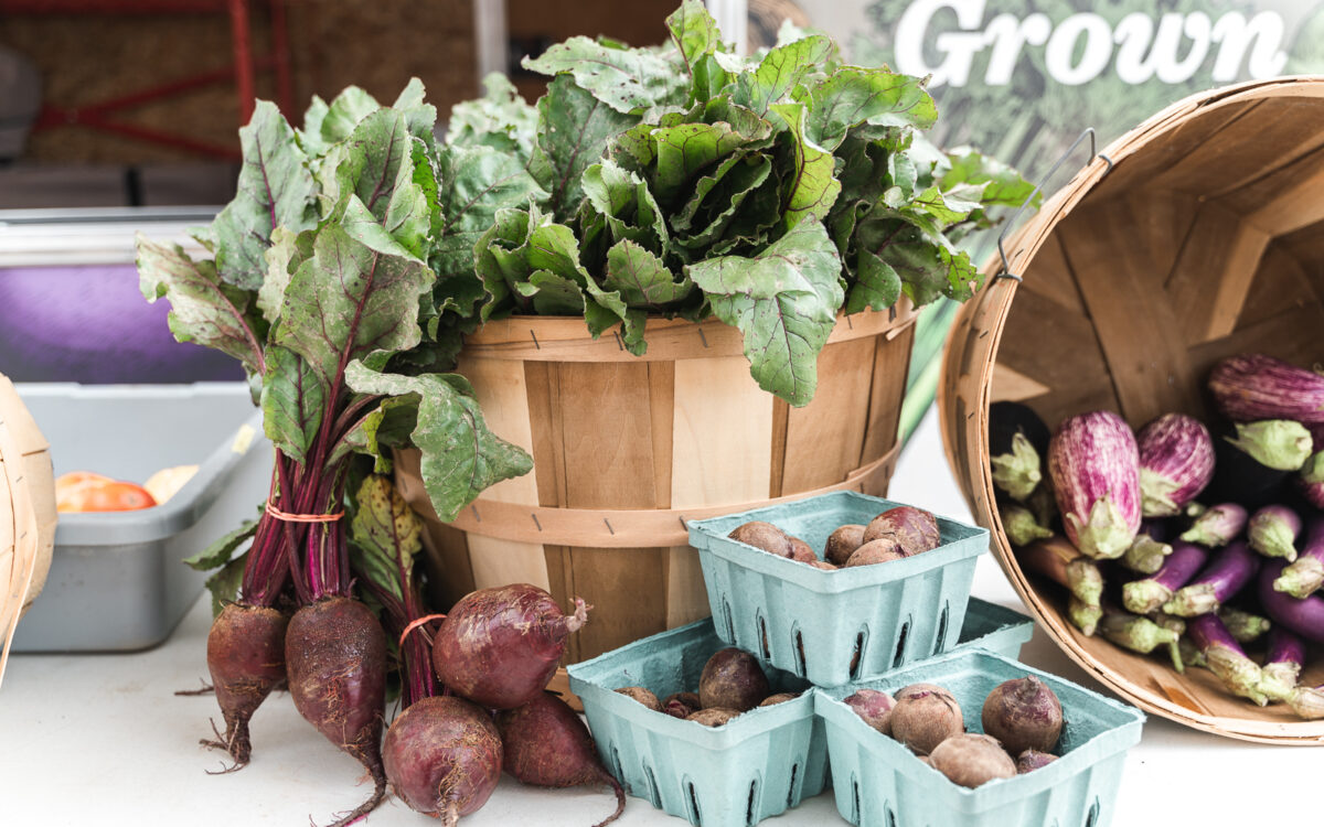 Hidden Hunger: Does Food Lack Essential Nutrients?