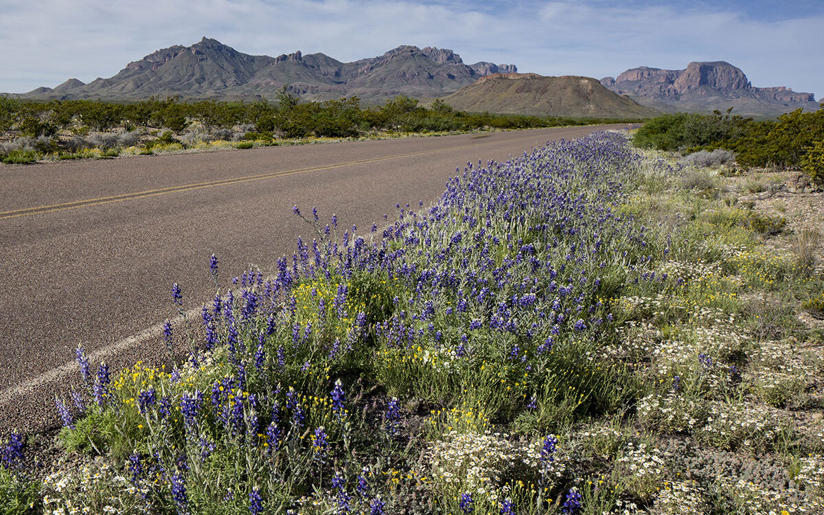 Want to Build Back Better? Look to the Outdoors