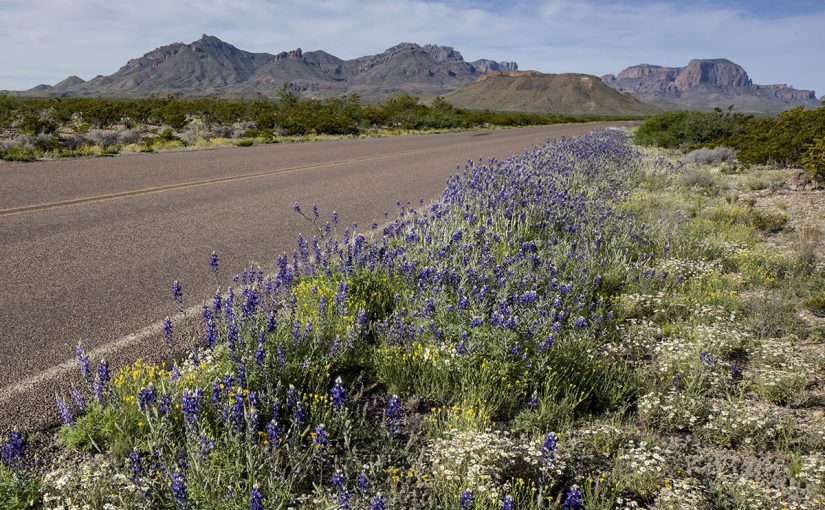 Want to Build Back Better? Look to the Outdoors