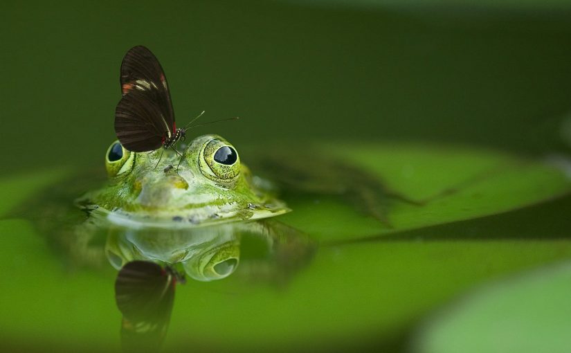 Biodiversity, a Sacred Responsibility: <br>Teachings from Valentin Lopez