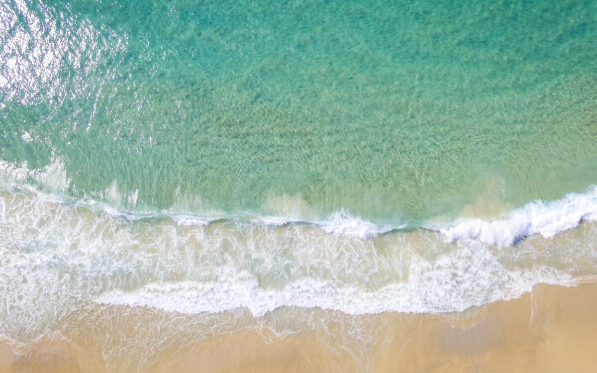 Ocean Conservation & Climate Change: Extinguishing the Flames