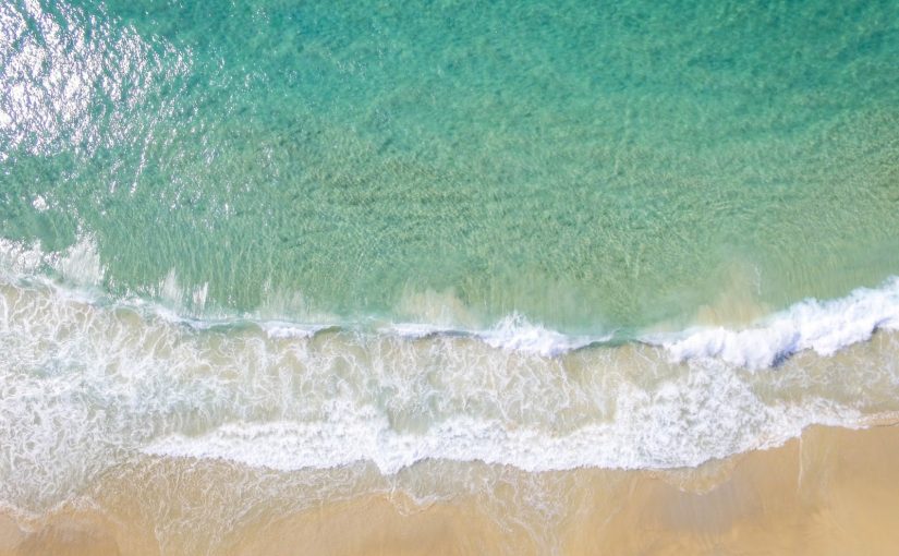 Ocean Conservation & Climate Change: Extinguishing the Flames
