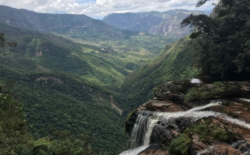 Regenerating the Environment and the Economy: Conscious Businesses Take on Decolonization
