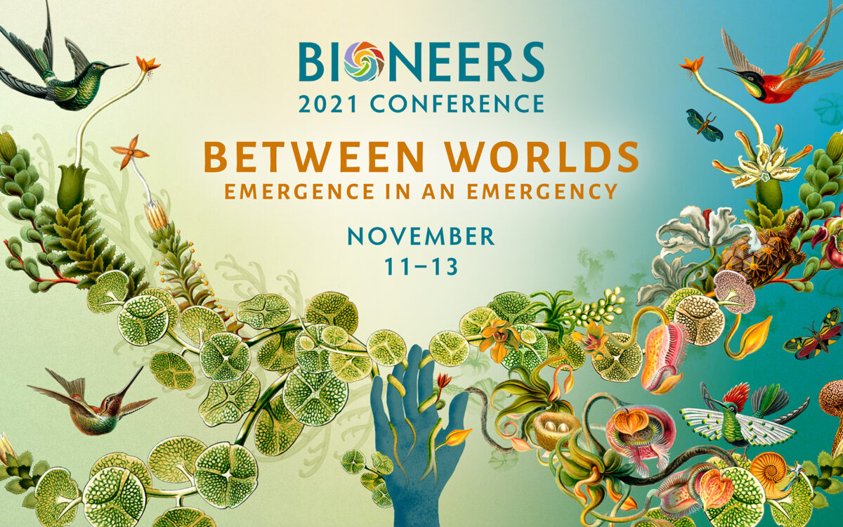 Game-Changing Leaders and Ideas Coming to Bioneers 2021