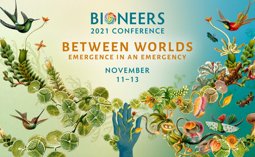 Game-Changing Leaders and Ideas Coming to Bioneers 2021