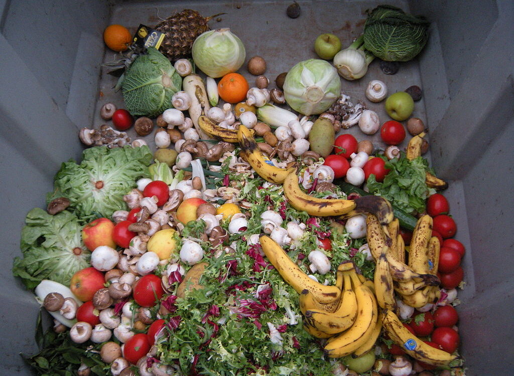 Food Waste: A Major Contributor to Climate Change