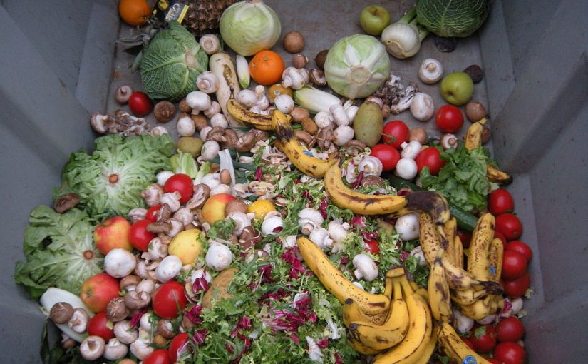 Food Waste: A Major Contributor to Climate Change
