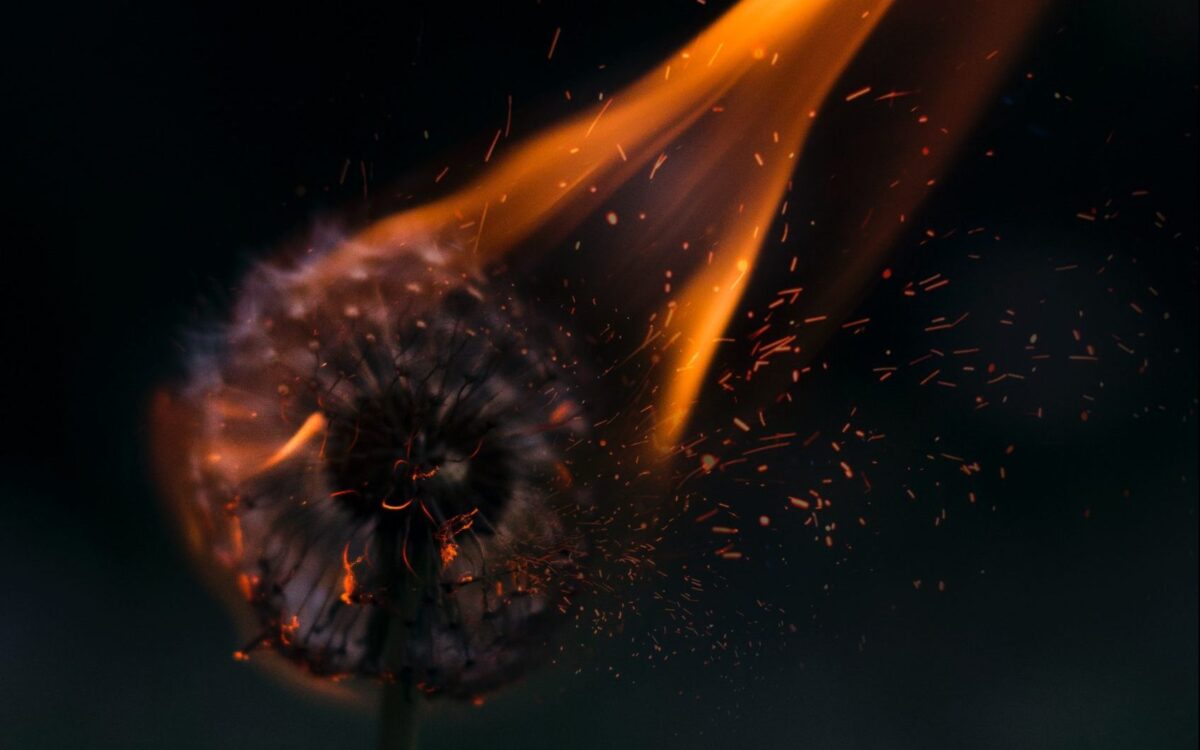 As The World Burns | Rupa Marya