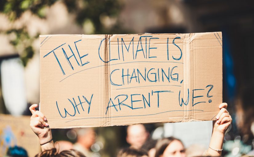 How Equity in Education Can Foster Youth-Led Climate Advocacy