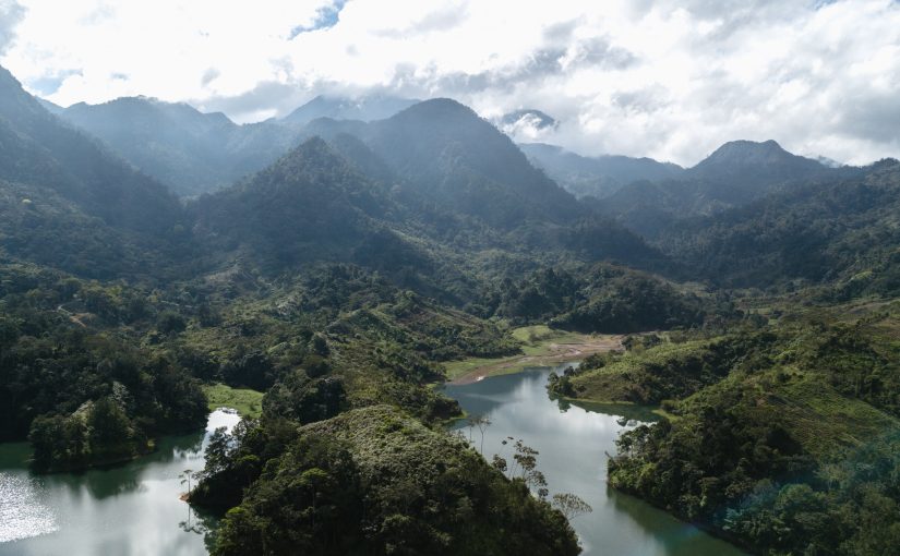 The Politics of the Rights of Nature