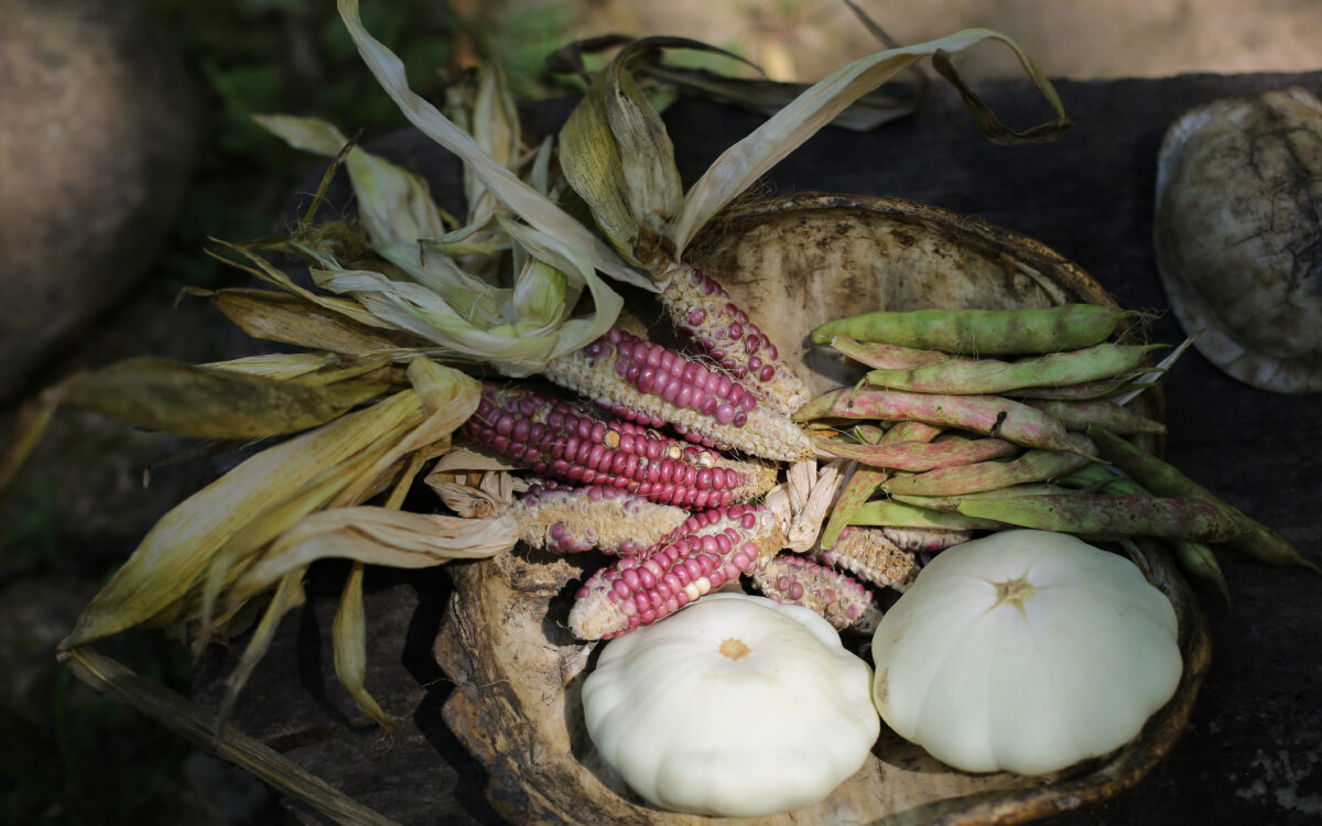 3 Ways to Decolonize Thanksgiving