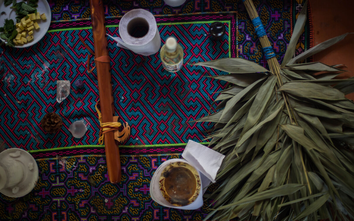 Plant Teachers: Ayahuasca, Tobacco and the Pursuit of Knowledge