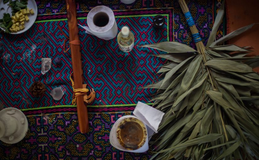 Plant Teachers: Ayahuasca, Tobacco and the Pursuit of Knowledge
