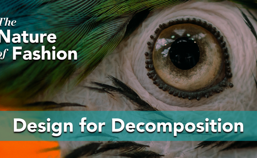 Biomimicry Institute Partnership Awarded Multi-Million Dollar Grant to Pilot Decomposition of Textile Waste