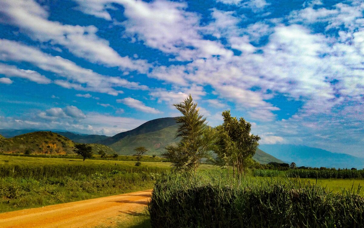 A Bigger Picture: My Fight to Bring a New African Voice to the Climate Crisis | Vanessa Nakate