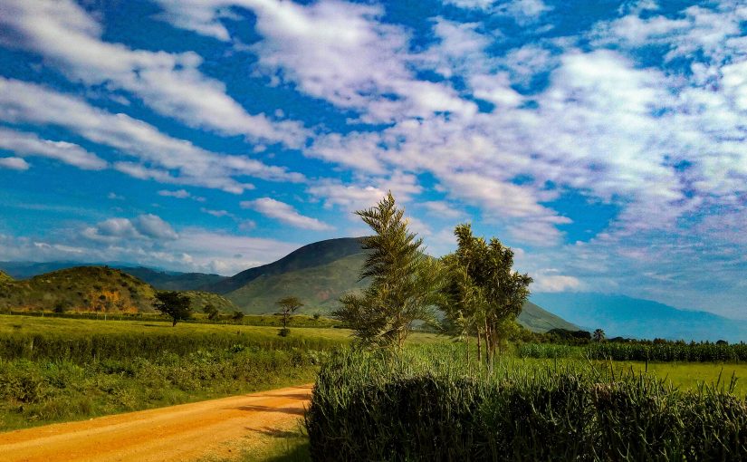 A Bigger Picture: My Fight to Bring a New African Voice to the Climate Crisis | Vanessa Nakate