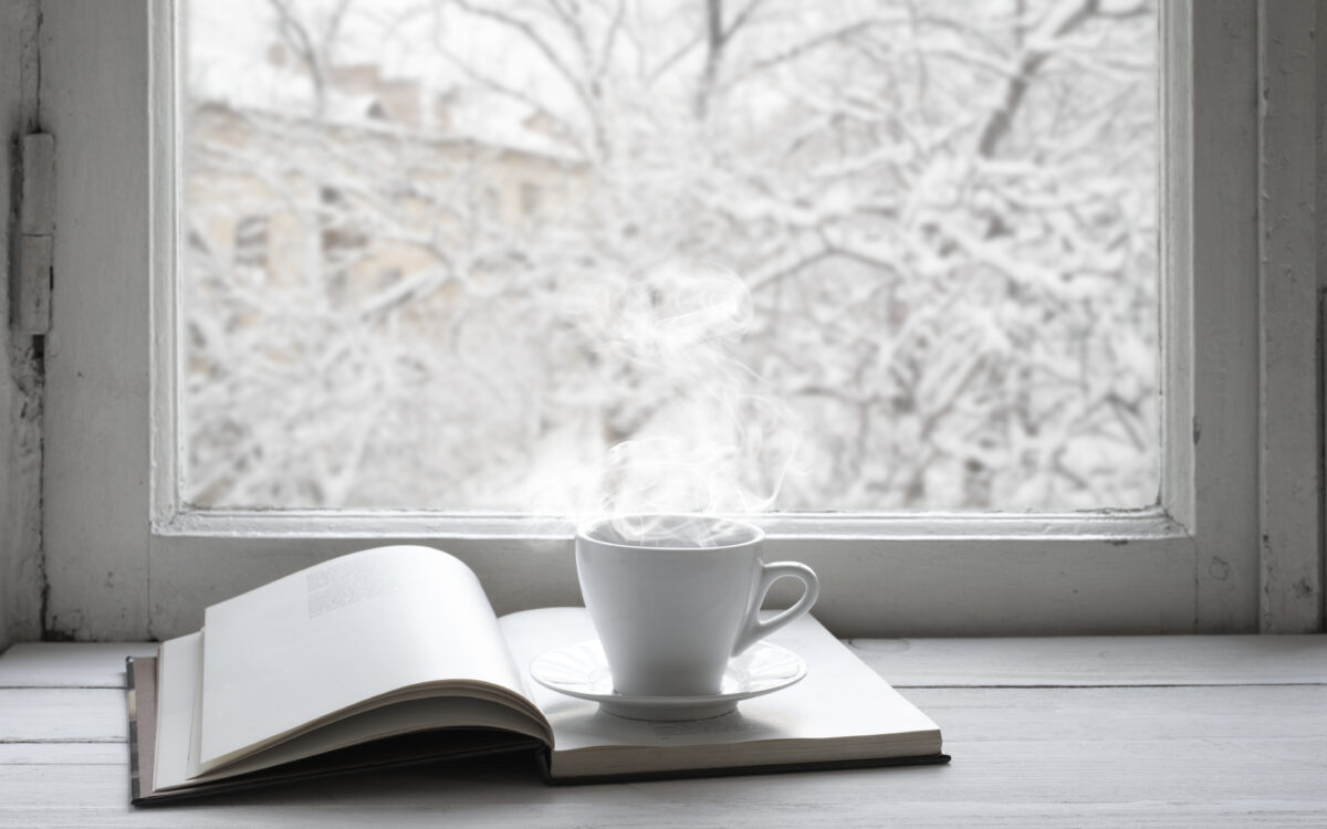 15 World-Changing Books to Gift this Holiday Season